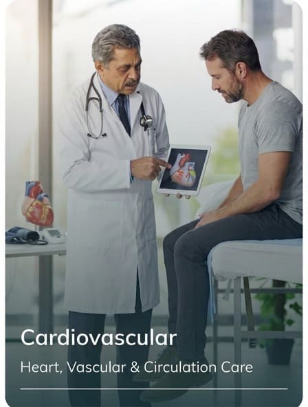 Cardiovascular — Heart, Vascular & Circulation Care